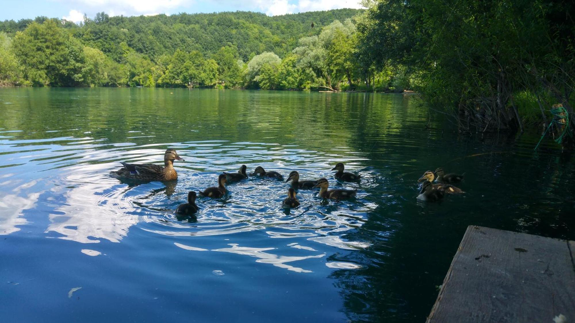 Fortuna Holiday Home Bihac Luaran gambar