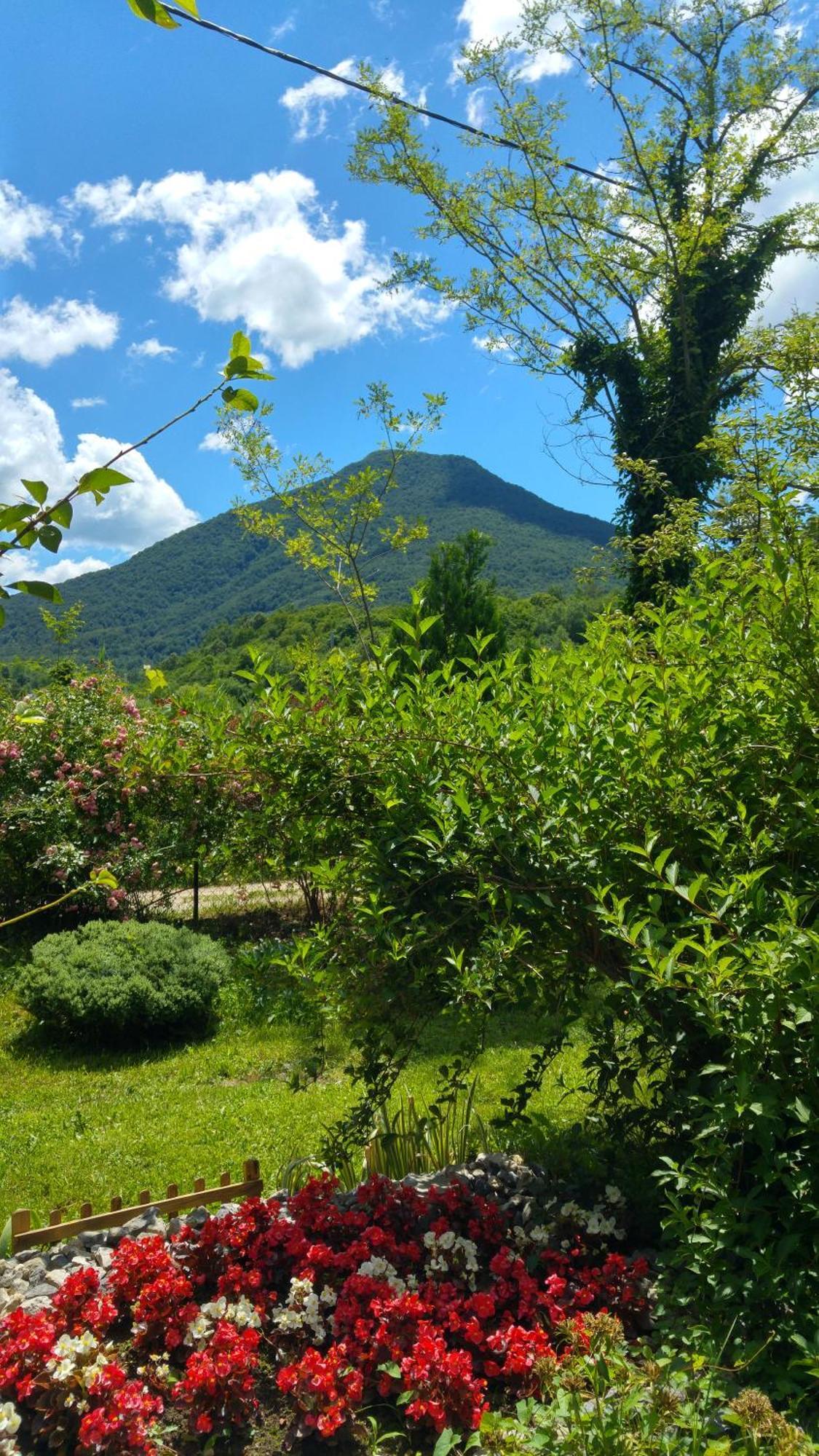 Fortuna Holiday Home Bihac Luaran gambar